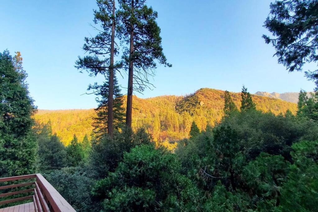 Redwood Retreat, Mountains, Adventure And Nature Ponderosa Eksteriør billede
