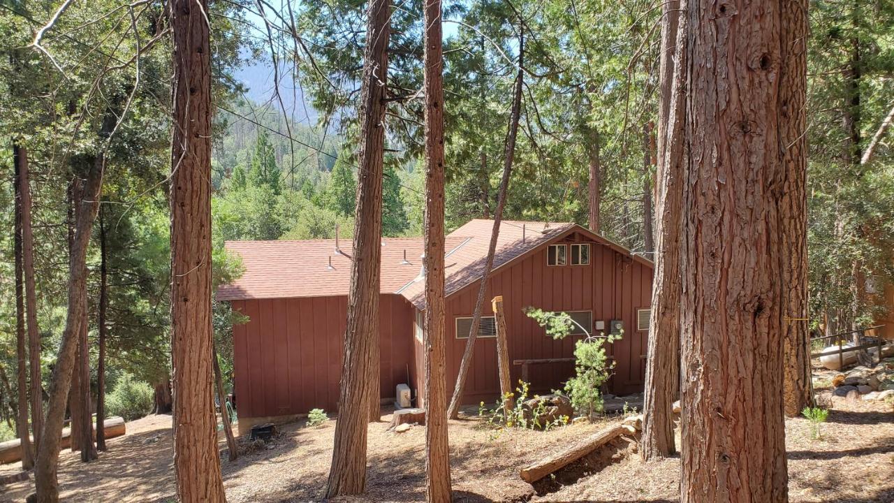 Redwood Retreat, Mountains, Adventure And Nature Ponderosa Eksteriør billede