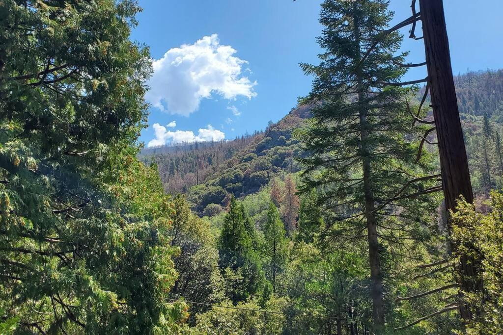 Redwood Retreat, Mountains, Adventure And Nature Ponderosa Eksteriør billede