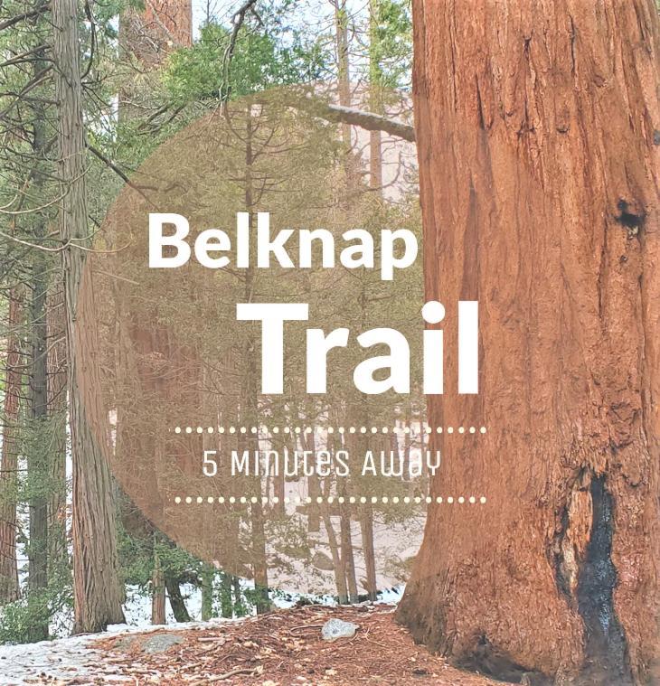 Redwood Retreat, Mountains, Adventure And Nature Ponderosa Eksteriør billede